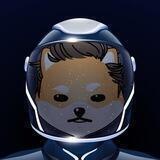 SPACELON X - China