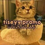 ⋆ Ꮺ ָ࣪ tiseyy pr♡mo ˓˓ ꒱