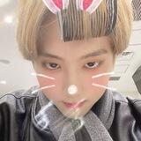 Vibit🐰✨