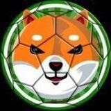 BabyFifaInu