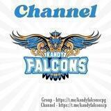 Kandy Falcons Channel - Cricket Pisso