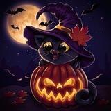 Hallow Cat