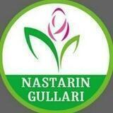 🌱🌷Nastarin gullari🌷🌱