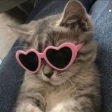 ♡✨ هايز قايز✨♡