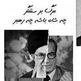 نه شاه نه شیخ