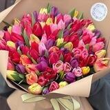 @kataleya_belgorod