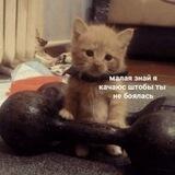 Ворк в крипте Chat