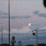 Moonlight ❀⑅*⳾