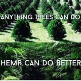 Tree of Life Heirloom Cannabis seeds UK