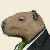 CapyCrypto