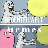 Gegenteilwelt Memes