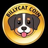 Billycat Coin Ann