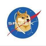 SpaceX Doge Việt Nam