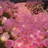 BEAUTY_Mi