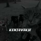 𝙆𝙚𝙣𝙩𝙤𝙫𝙨𝙠𝙞𝙚(канал)