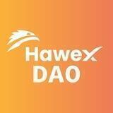 HAWEX DAO chat