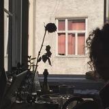 ☙. . singular gleam of paper-thin