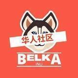 BELKA INU | 华人社区