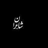 شاعران 313