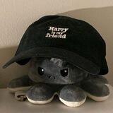 Depressed Octopus .