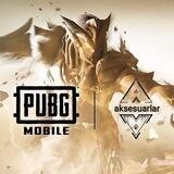 PUBG AKSESUARLAR