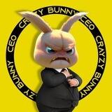 Crazy Bunny CEO | PORTAL