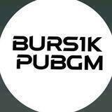 BURS1K