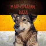 Maksimalna baza