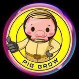 PIG GROW - PORTAL