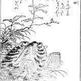 Abumi - Guchi