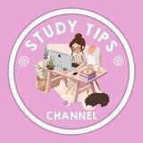 Study Tips ✨