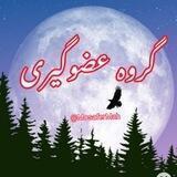 گپ عضوگیری