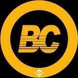 Binance Card Presale live Token
