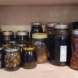 WholeHealthConsultant-The Health and Wellness Club!