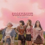 🖤Blackpink In Your Area💗