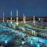 على المنهج نسير
