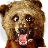 Всяко-разно, это не заразно