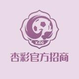 杏彩体育官方招商