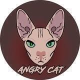 ANGRY CAT
