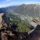 Nose bleed section 40,000 foot view