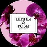 Шипы и Розы