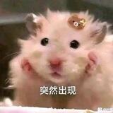 病情交流组