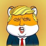 TRUMP SHIBA Official
