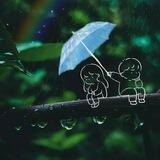 amateur de pluie