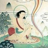 A Yogis Joy $MILAREPA Community