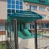 Россельхознадзор Оренбург