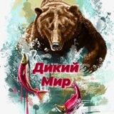Дикий Мир 🐆