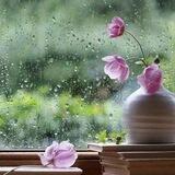 هوای دلتنگی