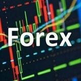 FX Bussiness