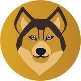 Rin Finance Coin (RIFICO)
